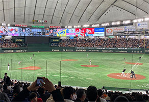 プロスポーツ観戦4